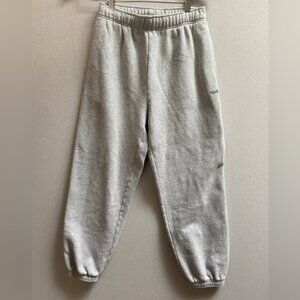 TNA Aritzia Sweatfleece Cozy Fleece Mega Fit Joggers Sz XS